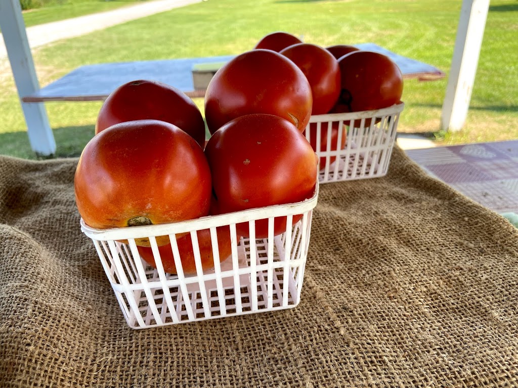 McGregors Produce | Lochwinnoch Rd, Braeside, ON K0A 1G0, Canada | Phone: (613) 432-9726