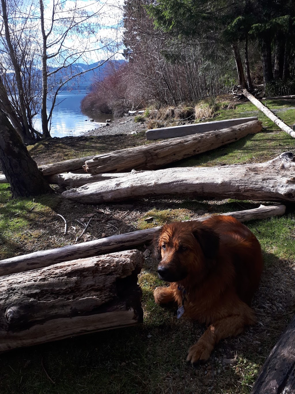 Stoker Park | Marble Bay Rd, Meades Creek Rd, Youbou, BC V0R 2N0, Canada | Phone: (250) 746-2500