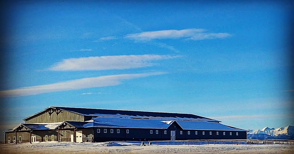 Diamond Valley Equestrian | 370241 128 St W, Priddis, AB T0L 0H0, Canada | Phone: (403) 969-4588