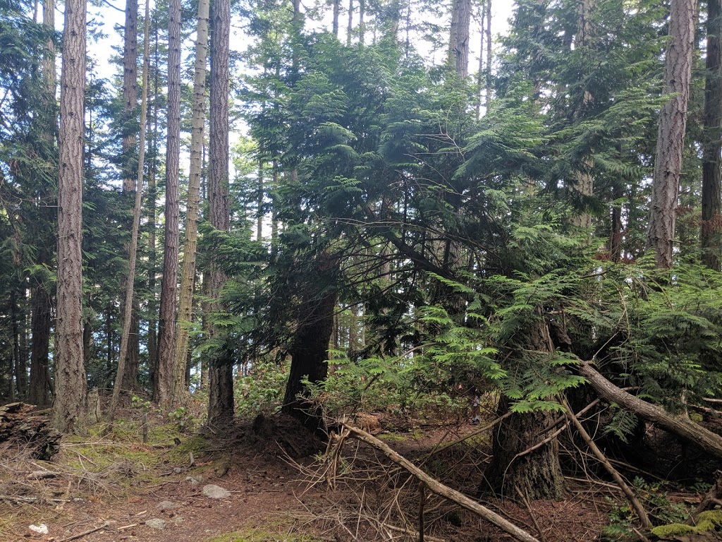 Watmough Bay | 1045 Watmough Head Rd, Lopez Island, WA 98261, USA