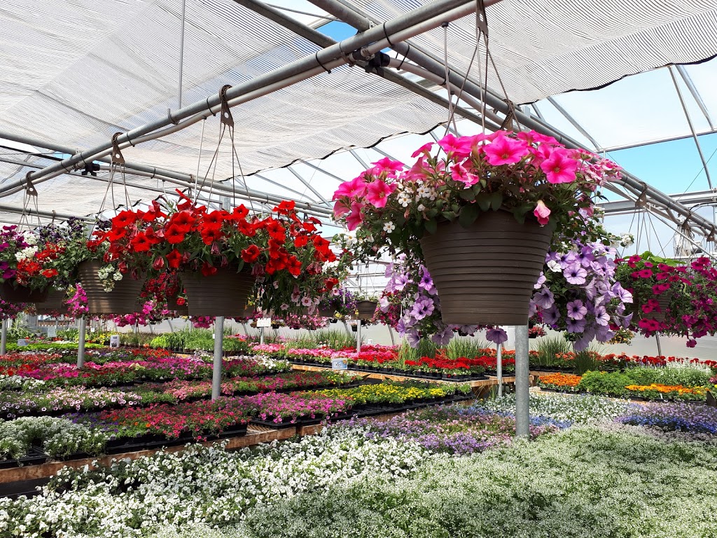 Friendly Flowers Garden Ctr | NE-15-22-2E, Arborg, MB R0C 0A0, Canada | Phone: (204) 376-2727