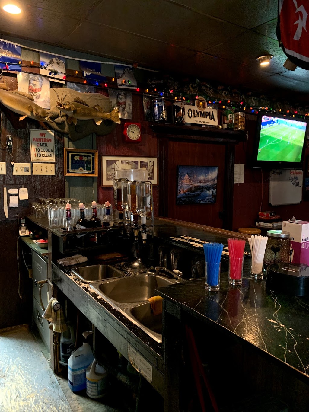 Elveras Bar And Hotel | 300 Albert St, Radisson, SK S0K 3L0, Canada | Phone: (306) 827-2150