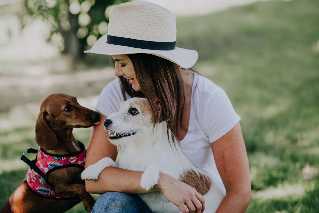 Kitty’s Dog Walking | 7600 Cottonwood Dr, Osoyoos, BC V0H 1V3, Canada | Phone: (250) 719-4677