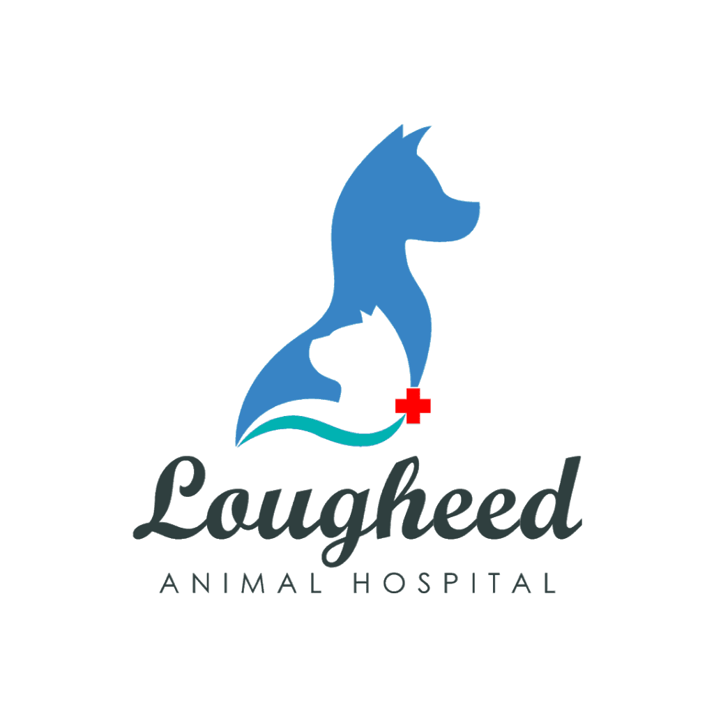 Lougheed Animal Hospital | 32423 Lougheed Hwy #108, Mission, BC V2V 7B8, Canada | Phone: (604) 826-7066