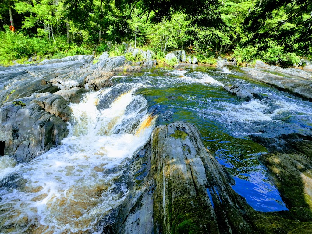 B&B Art of Germany | Region of Queens Municipality, NS B0T 1B0, Canada | Phone: (902) 682-2114