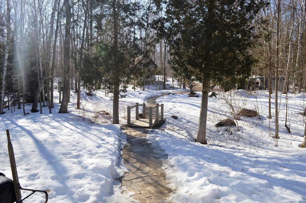 Serenity Cottage | Eagle Ridge Dr, Annan, ON N0H 1B0, Canada | Phone: (226) 256-8057