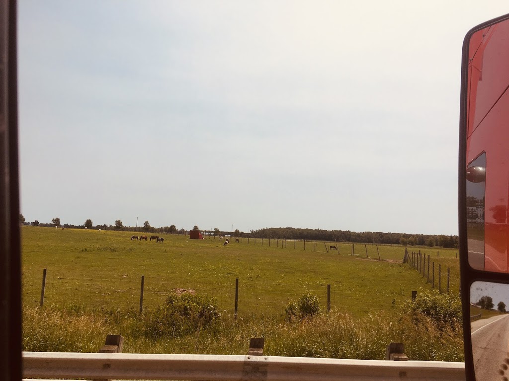 Wellington Poultry | 7514 Wellington Road 109, Arthur, ON N0G 1A0, Canada | Phone: (519) 848-6800