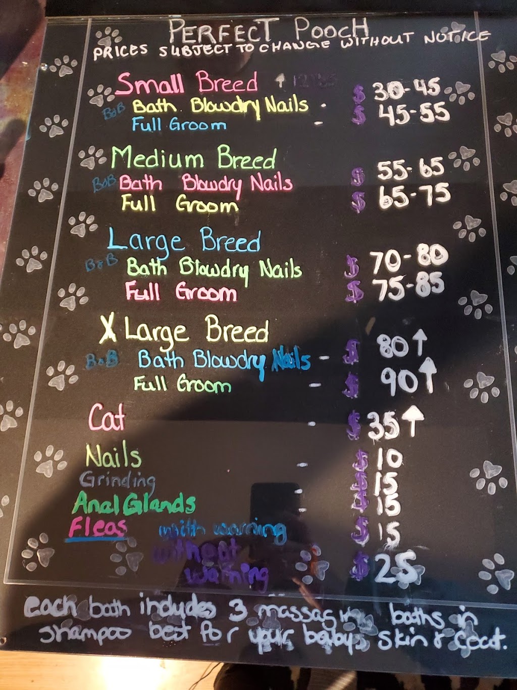 Perfect Pooch | 9192 Talbot St W, Blenheim, ON N0P 1A0, Canada | Phone: (519) 437-2538