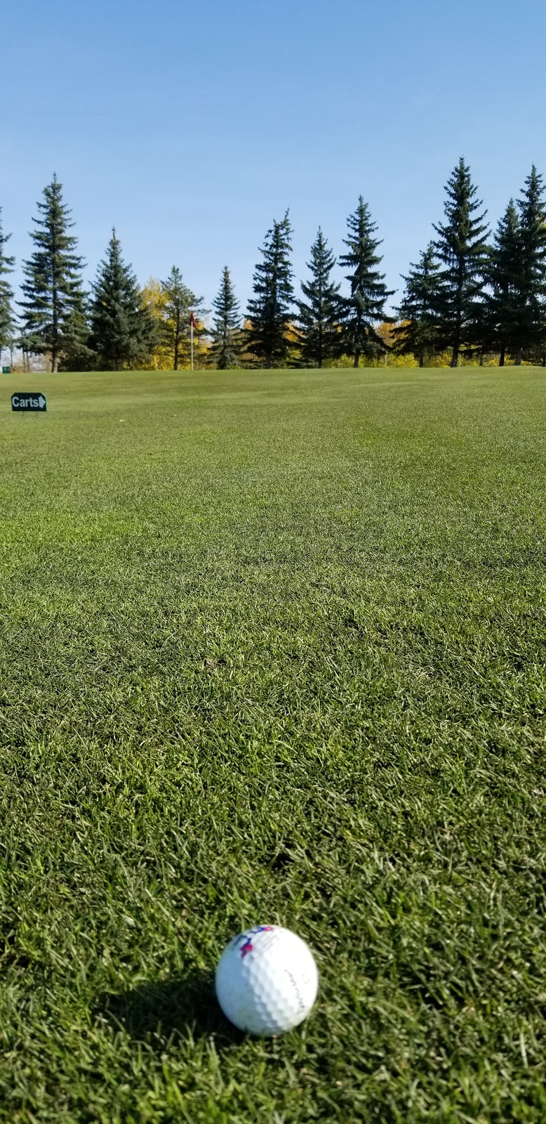 Mill Woods Golf Course - 4540 50 St NW, Edmonton, AB T6L 6P6, Canada