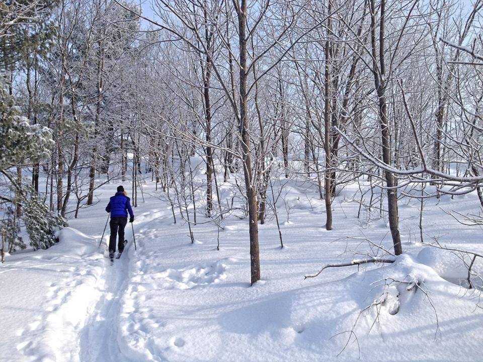 LIV OUTSIDE Bike Park | 112-114 Southbank Dr, Bracebridge, ON P1L 1G3, Canada | Phone: (705) 646-0492