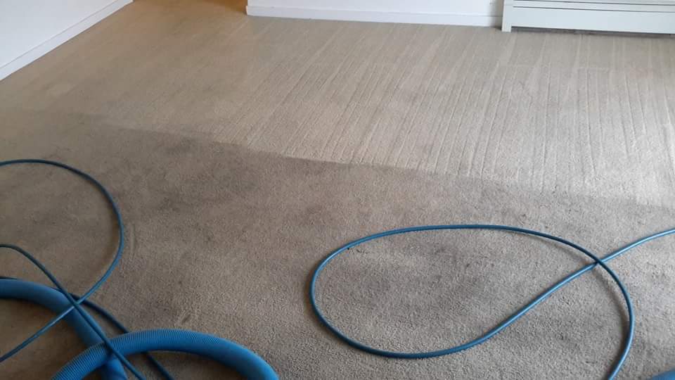 Clean Evolve Cleaning Services | 45411 Labelle Ave, Chilliwack, BC V2P 6Z3, Canada | Phone: (604) 799-3801
