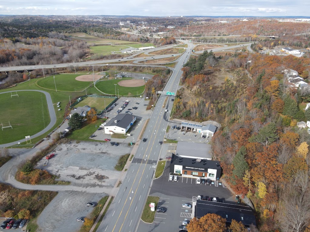 Bedford Cat Clinic | 1739 Bedford Hwy, Bedford, NS B4A 1G3, Canada | Phone: (902) 444-8383