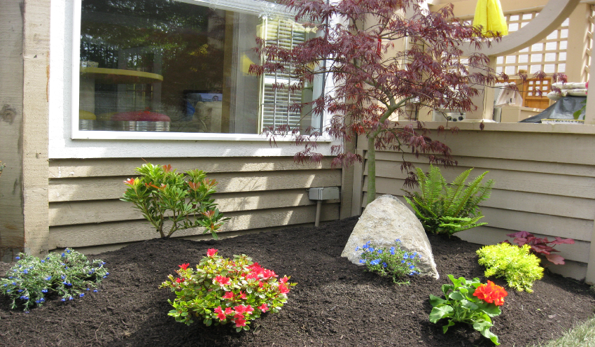 Petra Landscape Contractors | 118 Virginia St #208, Kingston, ON K7K 0C5, Canada | Phone: (613) 453-1494