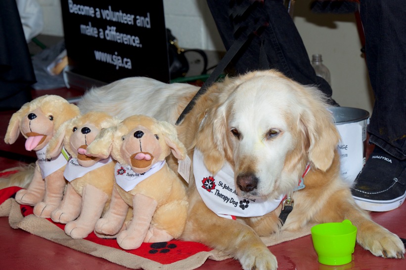 St. John Ambulance, Kitchener-Waterloo Branch | 250 Gage Ave, Kitchener, ON N2M 2C8, Canada | Phone: (519) 579-6285