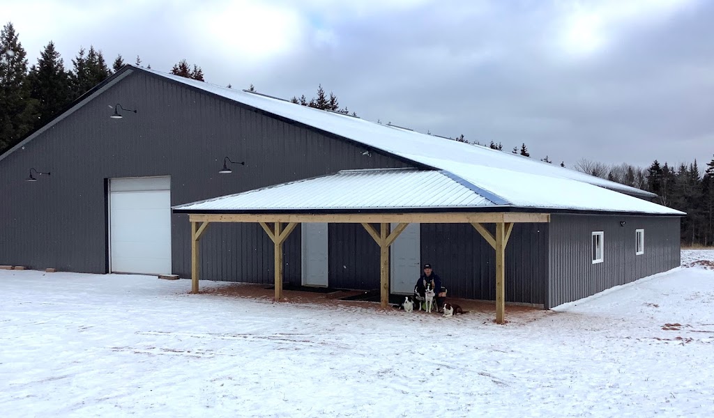 For the Love of Dog! Agility Training and Event Centre | 1638 PE-19, Prince Edward Island C0A 1H6, Canada | Phone: (902) 316-0219
