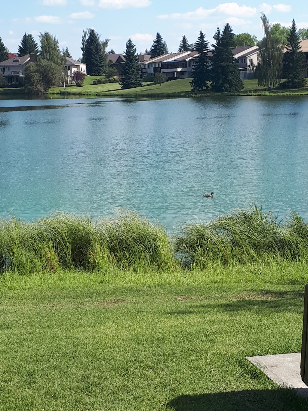 Tomas Opalinski Park | 1103 109 St NW, Edmonton, AB T6J 5X9, Canada