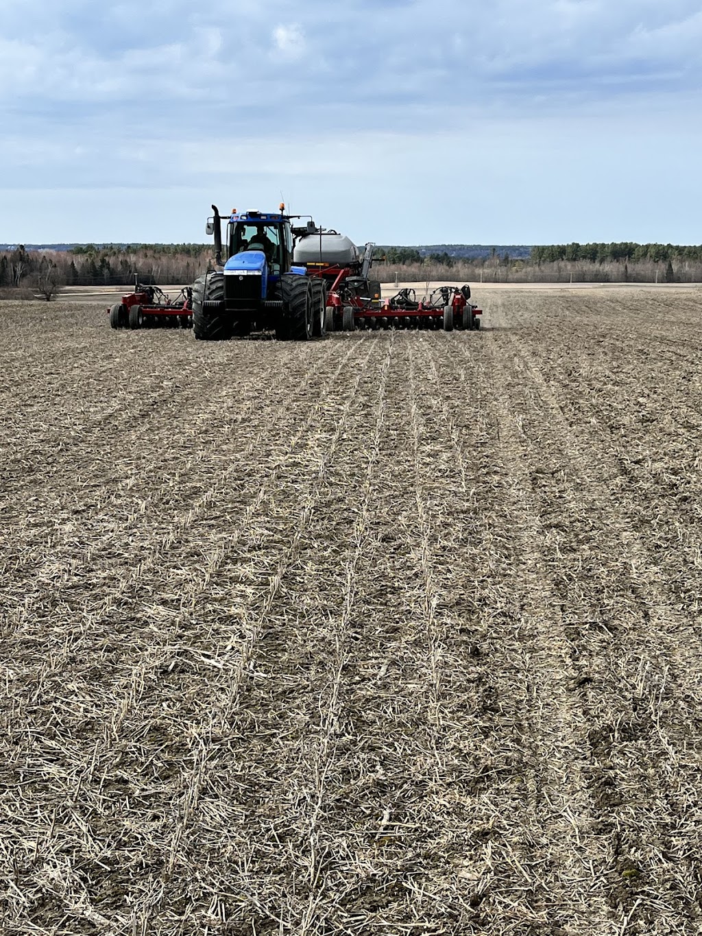 RM lang farm | 45 Chem. Hanna C, Shawville, QC J0X 2Y0, Canada | Phone: (613) 324-0133