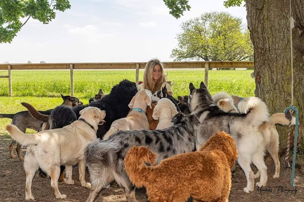 Happy Paws Dog Daycare & Boarding | 2190 County Rd. 20 W, Harrow, ON N0R 1G0, Canada | Phone: (226) 787-2809