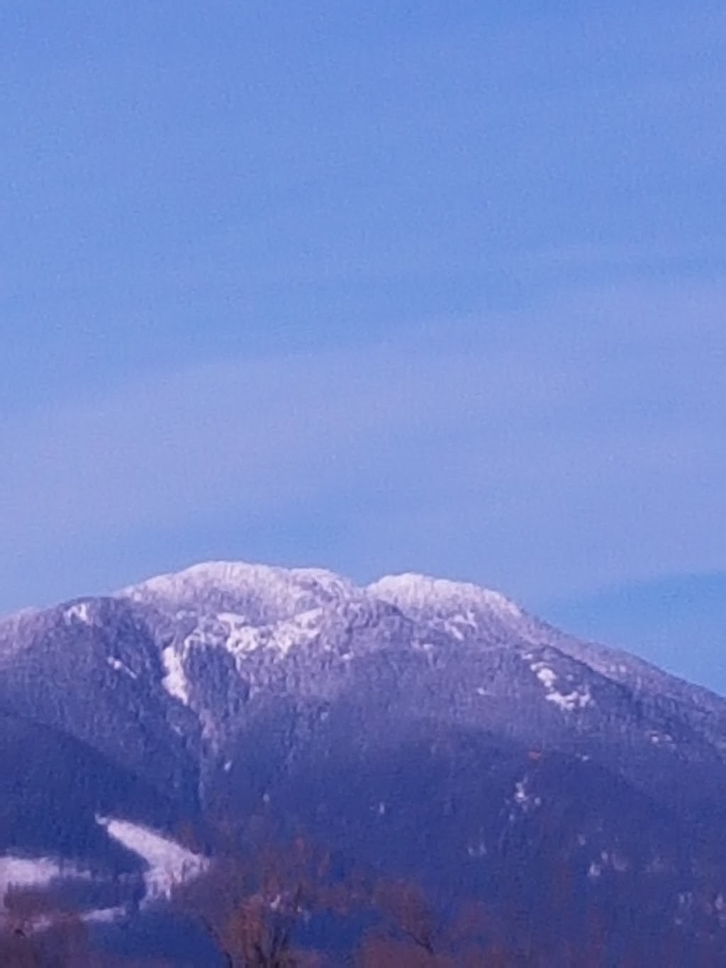 Cedarwal Farms | 5722-5854 Interprovincial Hwy, Abbotsford, BC V3G 2P7, Canada | Phone: (236) 833-8418