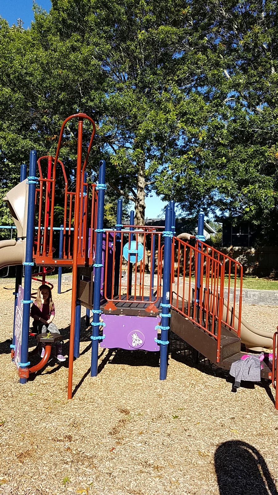 Highland Heights Park | Vining St, Bellingham, WA 98226, USA | Phone: (360) 778-8000