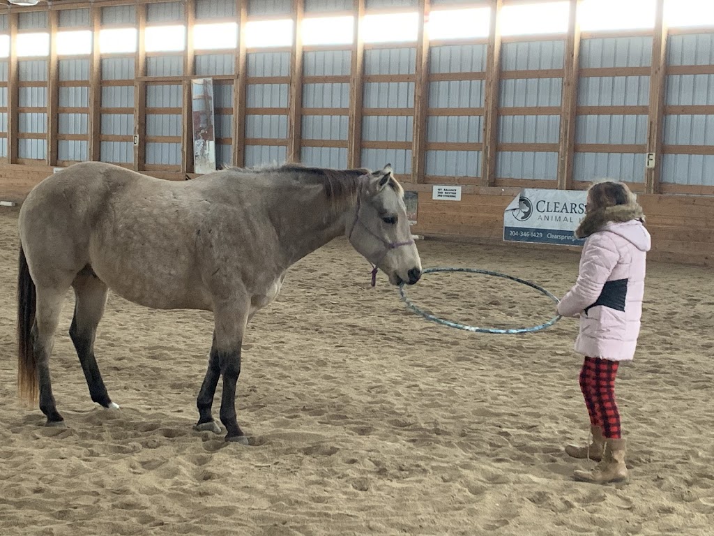 Cloud 9 Equine Therapy | 31061 Ekron Rd 37E, Sarto, MB R0A 0R0, Canada | Phone: (204) 392-6308