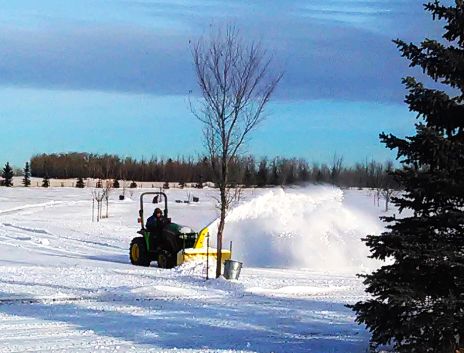St. Stephens Cemetery | 20303 Meridian St NW, Edmonton, AB T5Y 6E6, Canada | Phone: (780) 377-0277