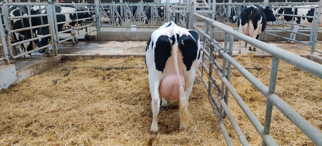 Heather Holme Holtseins | 36682 Gore Rd, Goderich, ON N7A 3Y3, Canada | Phone: (519) 524-4696