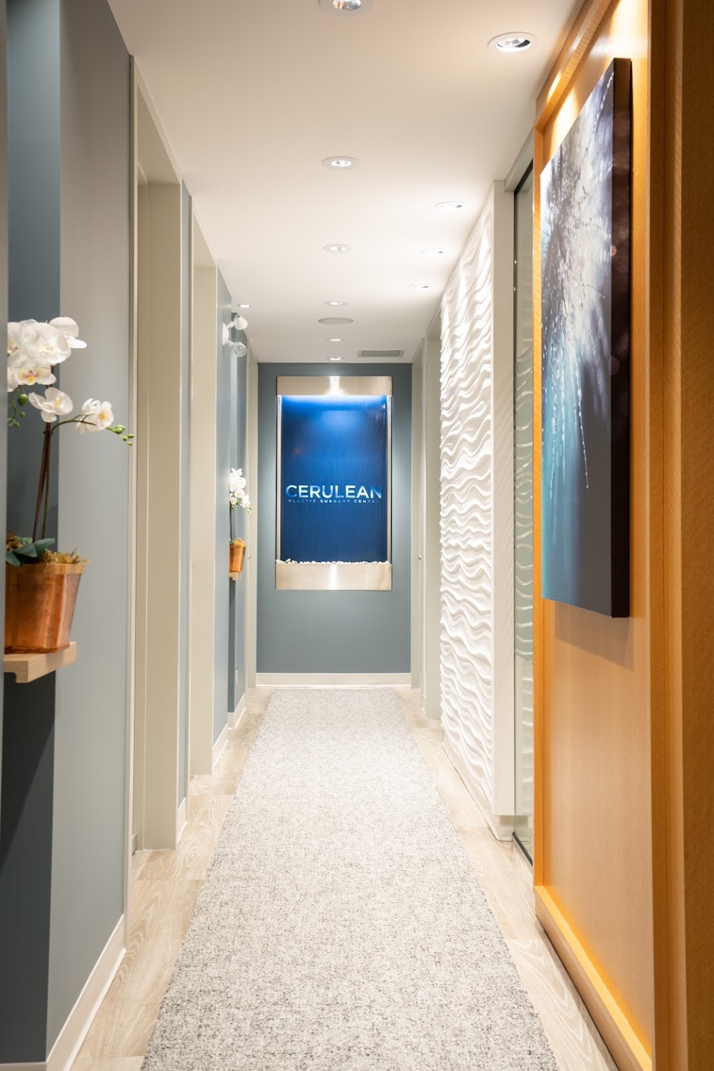 Cerulean Plastic Surgery Centre | 11012 Macleod Trail SE Suite 385, Calgary, AB T2J 6A5, Canada | Phone: (403) 225-2141