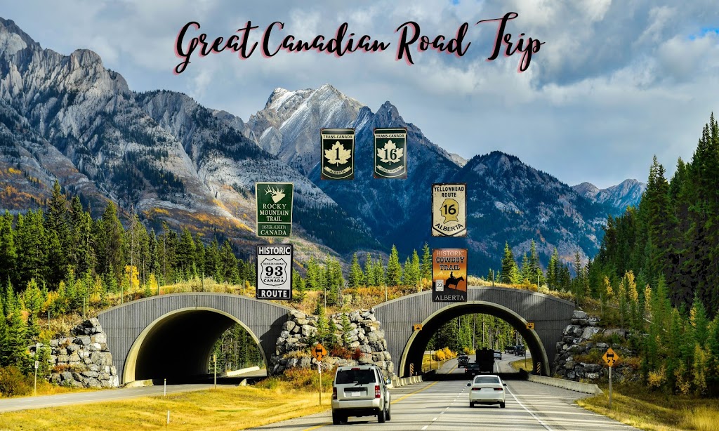 Man-Cave Gifts & Collectibles | Inside Village Antiques, 23331 Mavis Ave, Langley City, BC V1M 2R8, Canada | Phone: (604) 701-9025