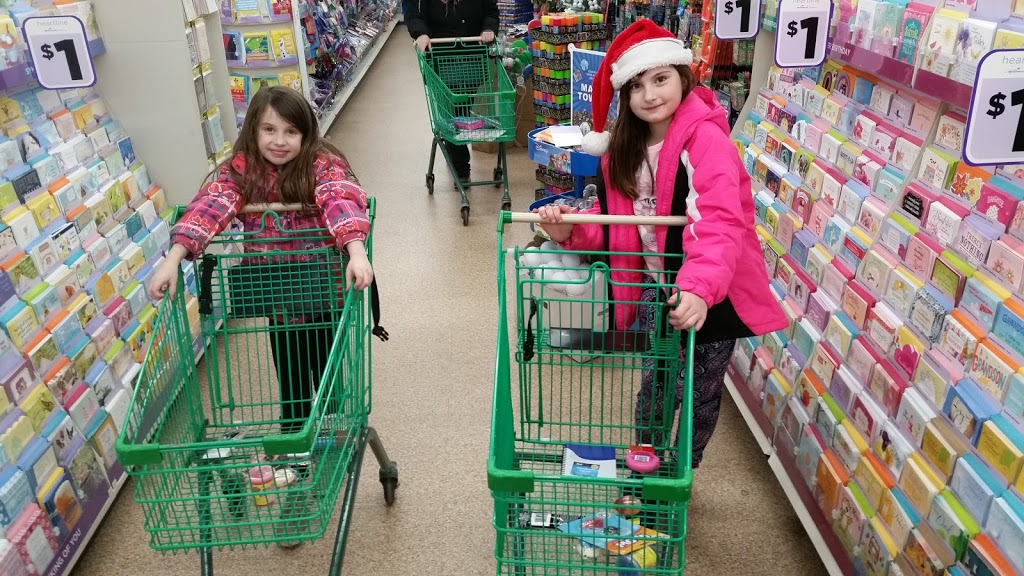 Dollar Tree | 400 Sandwich St S, Amherstburg, ON N9V 3L4, Canada | Phone: (519) 730-0206