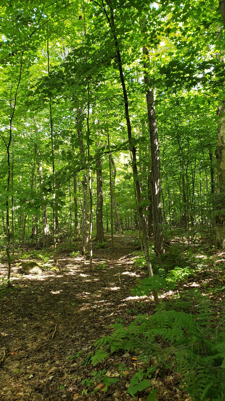Parc de la rivière | LAncienne-Lorette, QC G2E, Canada | Phone: (418) 872-9811