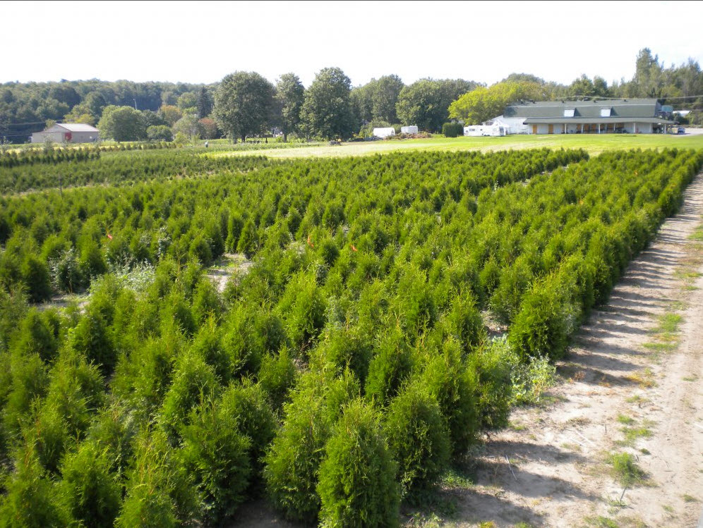 Cedres Dupont Inc | 8075 Chemin Sainte-Marguerite, Trois-Rivières, QC G9B 0M1, Canada | Phone: (819) 377-9000