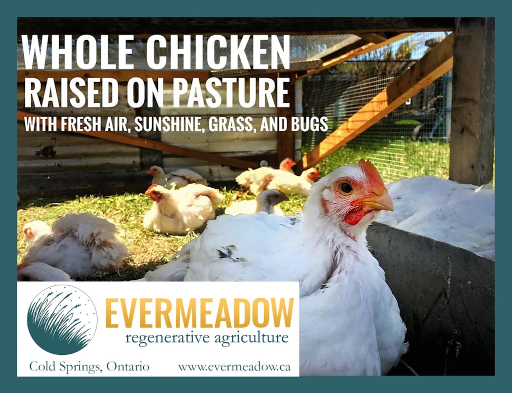 Evermeadow Farm | 3989 McIntosh St, Cobourg, ON K9A 4J9, Canada | Phone: (905) 269-3765
