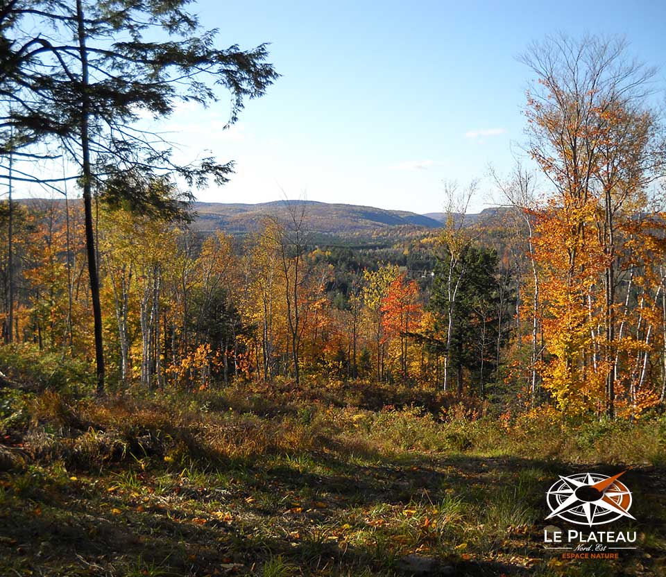 Le Plateau Nord-Est | 330 Rang de la Chute à Lessard, Saint-Alexis-des-Monts, QC J0K 1V0, Canada | Phone: (819) 996-4504