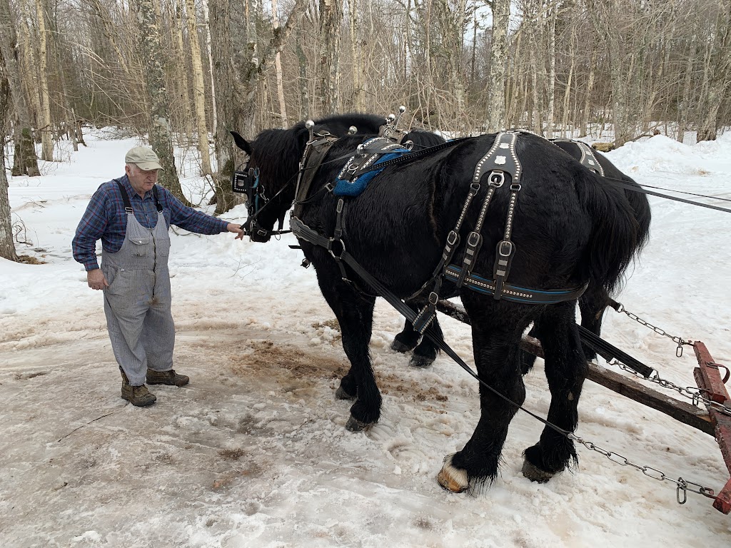 Potts Sleigh Rides | 439 Bonshaw Rd, Bonshaw, PE C0A 1C0, Canada | Phone: (902) 675-2107