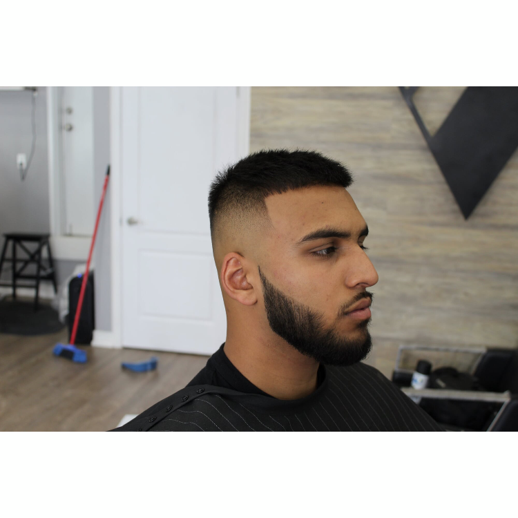 Elevate Grooming Studio | 146 Inspire Blvd, Brampton, ON L6R 3X9, Canada | Phone: (647) 712-0279