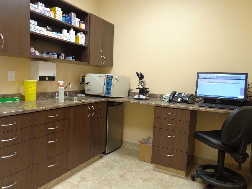 Upper Oakville Pet Hospital | 1011 Upper Middle Rd E a12, Oakville, ON L6H 4L2, Canada | Phone: (905) 338-8387