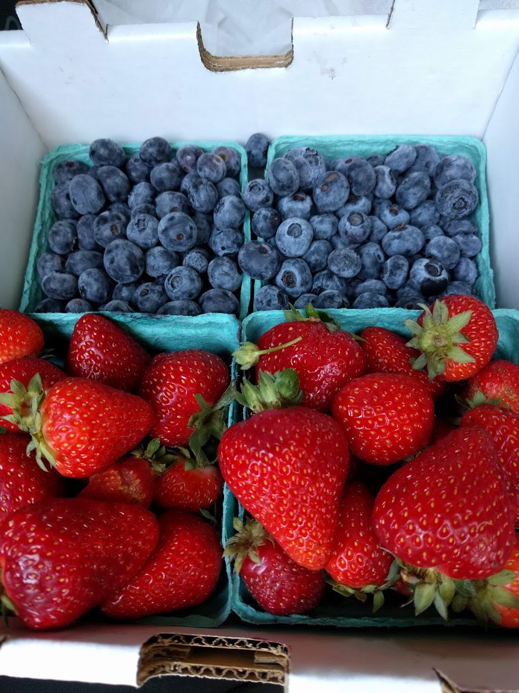Barbies Berries Seasonal Berry Stand | 7720, 7655 Melody Ln, Ferndale, WA 98248, USA | Phone: (360) 384-1260