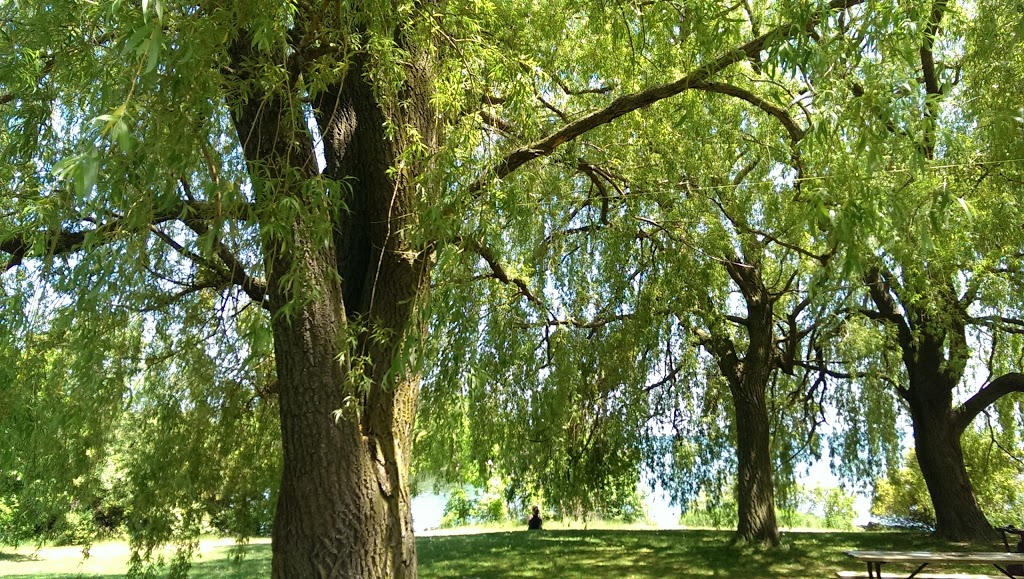 Humber Bay Park West | 2225 Lake Shore Blvd W, Etobicoke, ON M8V 3X7, Canada | Phone: (416) 392-2489