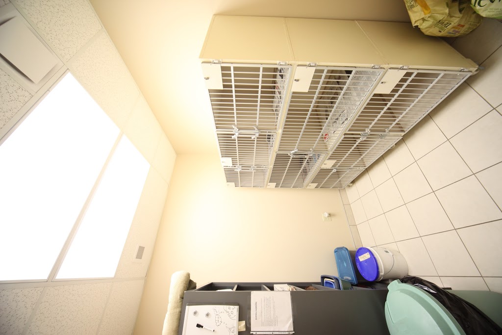 Spruce Grove Veterinary Clinic | 5 South Ave, Spruce Grove, AB T7X 3A5, Canada | Phone: (780) 962-3233