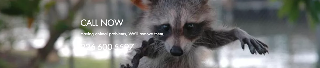 Need Pest Control | 260 Falling Green Cres, Kitchener, ON N2R 0E9, Canada | Phone: (226) 600-5597