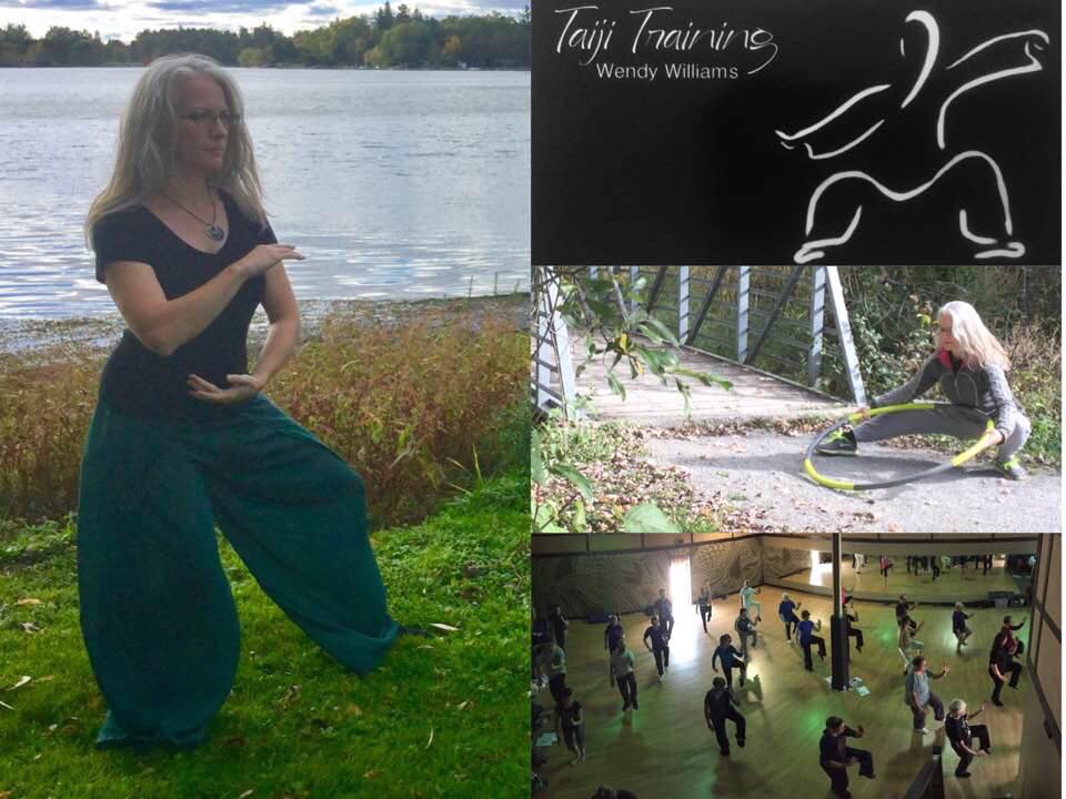 Taiji Training | 3548 St Johns Sideroad, Whitchurch-Stouffville, ON L4A 2T5, Canada | Phone: (519) 217-7068