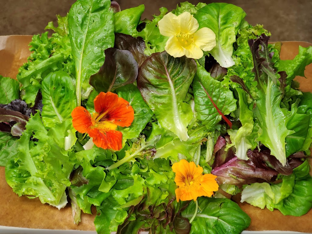 Aquatic Growers | 1330A Southwood Rd, Severn Bridge, ON P0E 1N0, Canada | Phone: (705) 238-6728