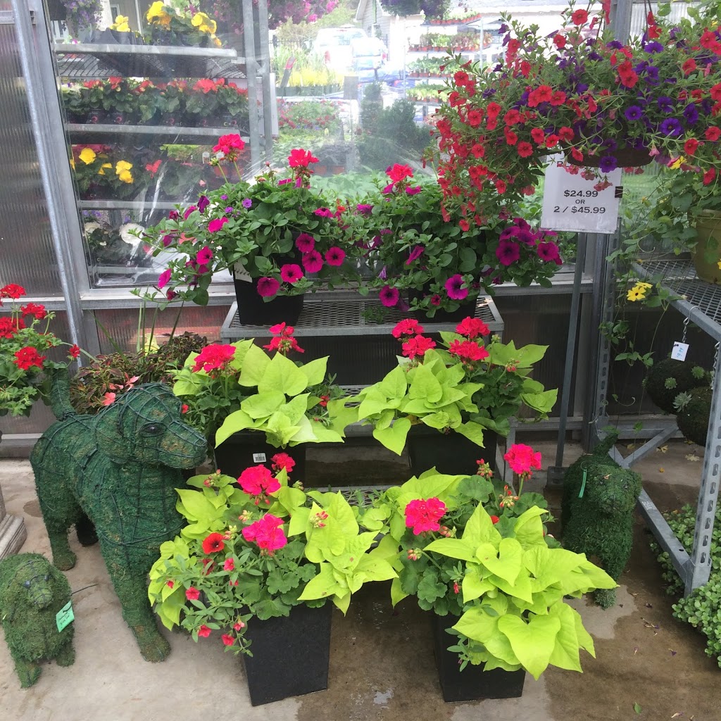 Wildhagen Greenhouses | 7291 Milburough Line, Milton, ON L0P 1B0, Canada | Phone: (905) 689-8427