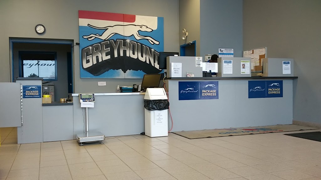 Greyhound Canada | 1139 Industrial Rd, Cambridge, ON N3H 4W3, Canada | Phone: (519) 653-2732
