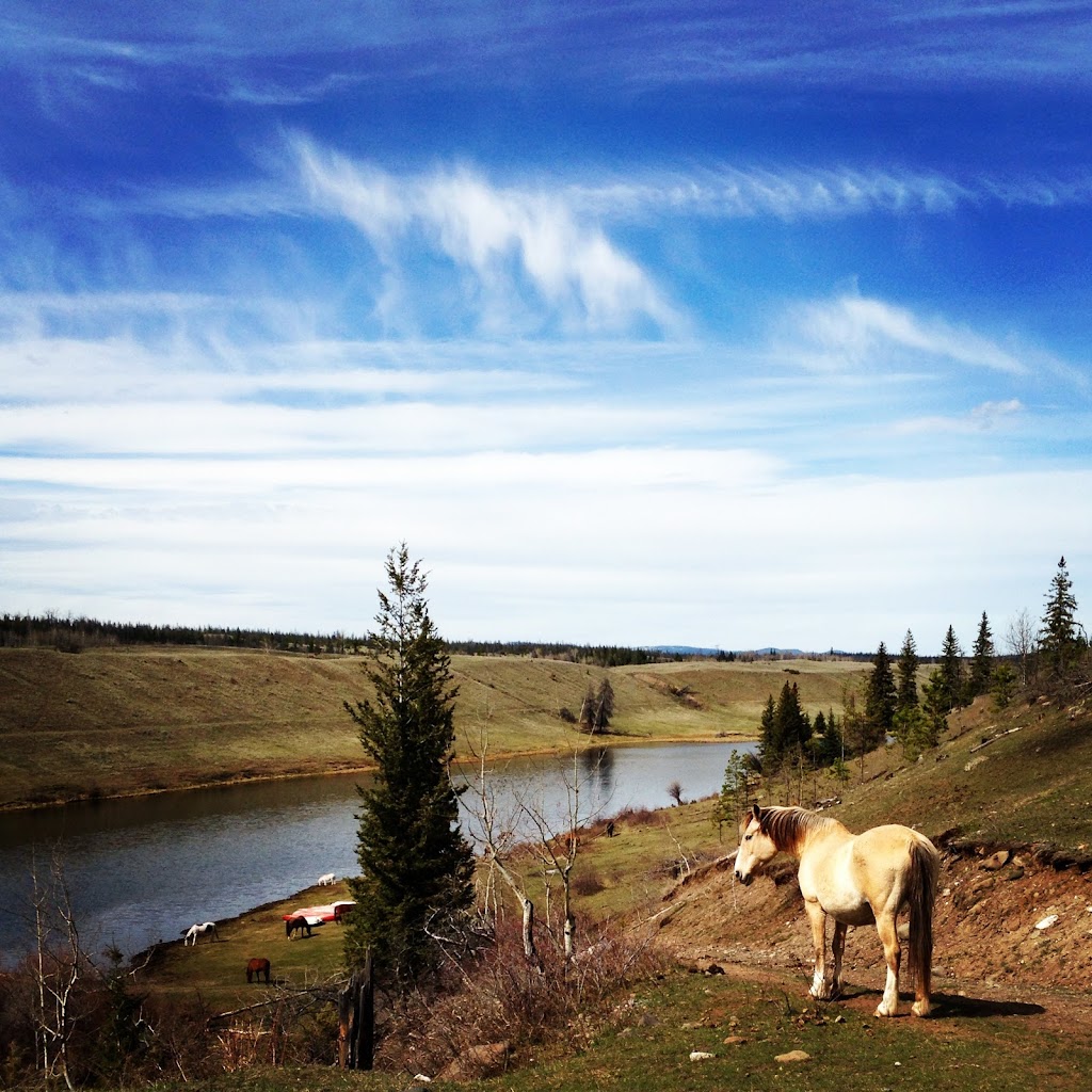 SXDC Ltd. | Box 55, Dog Creek, BC V0L 1J0, Canada | Phone: (250) 440-5652