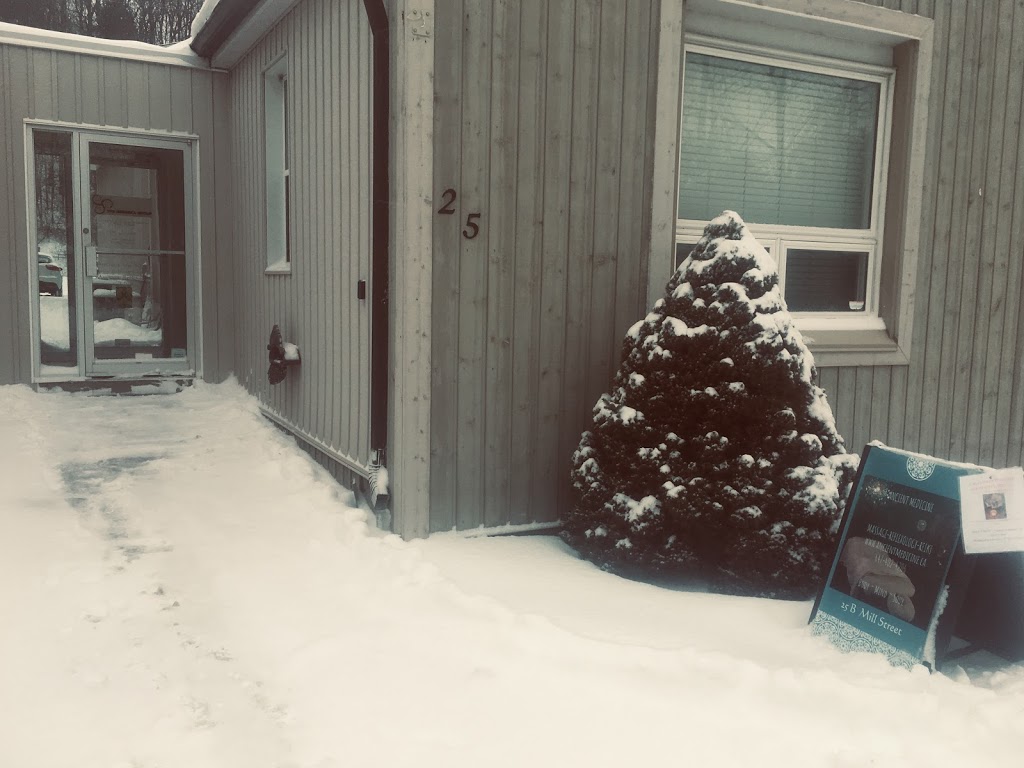Ancient Medicine | Back entrance, 25 Mill St, Bolton, ON L7E 1C1, Canada | Phone: (647) 402-4206