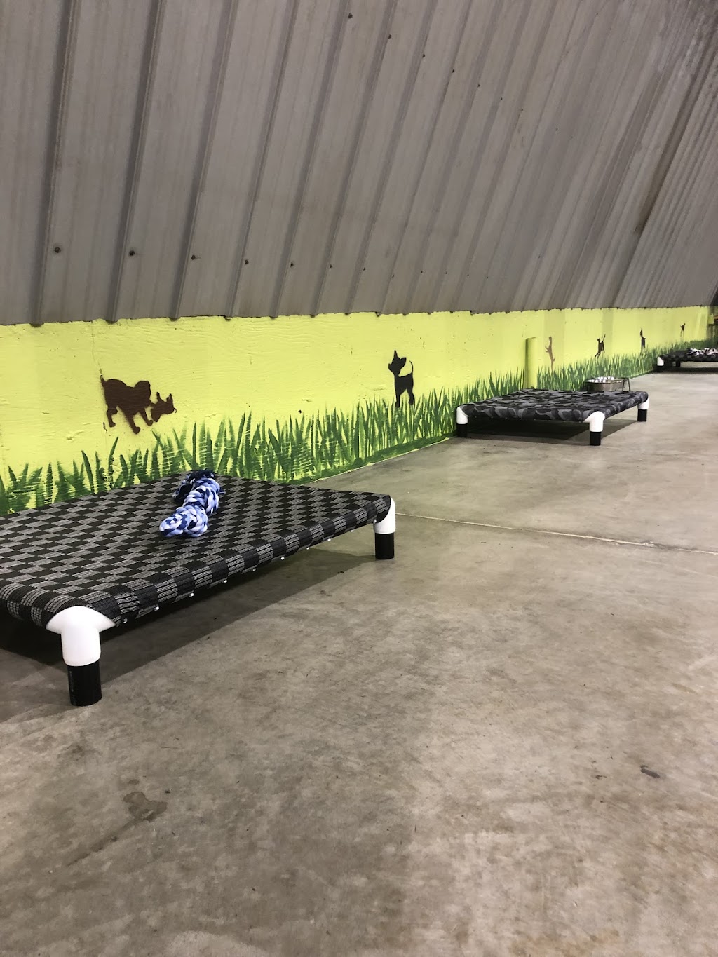 Steel House Doggy Daycare | 24 Kuryluk Blvd, Alberta T8T 0W2, Canada | Phone: (780) 405-2578