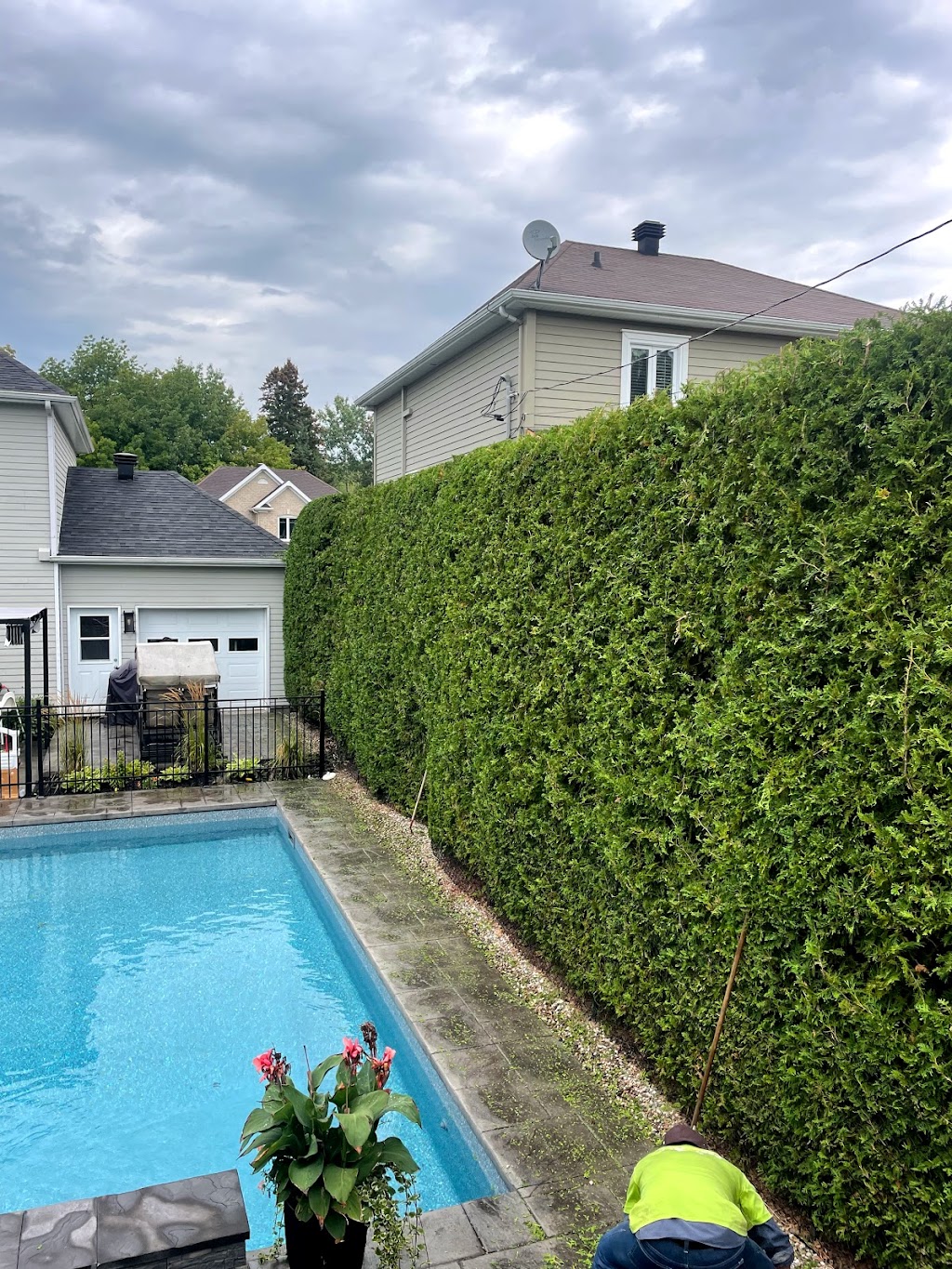 LHaies Pro - Taille De Haie De Cèdres Et D’arbustes | 1633 Rue De Ségur, Lévis, QC G6W 0T6, Canada | Phone: (418) 265-6042