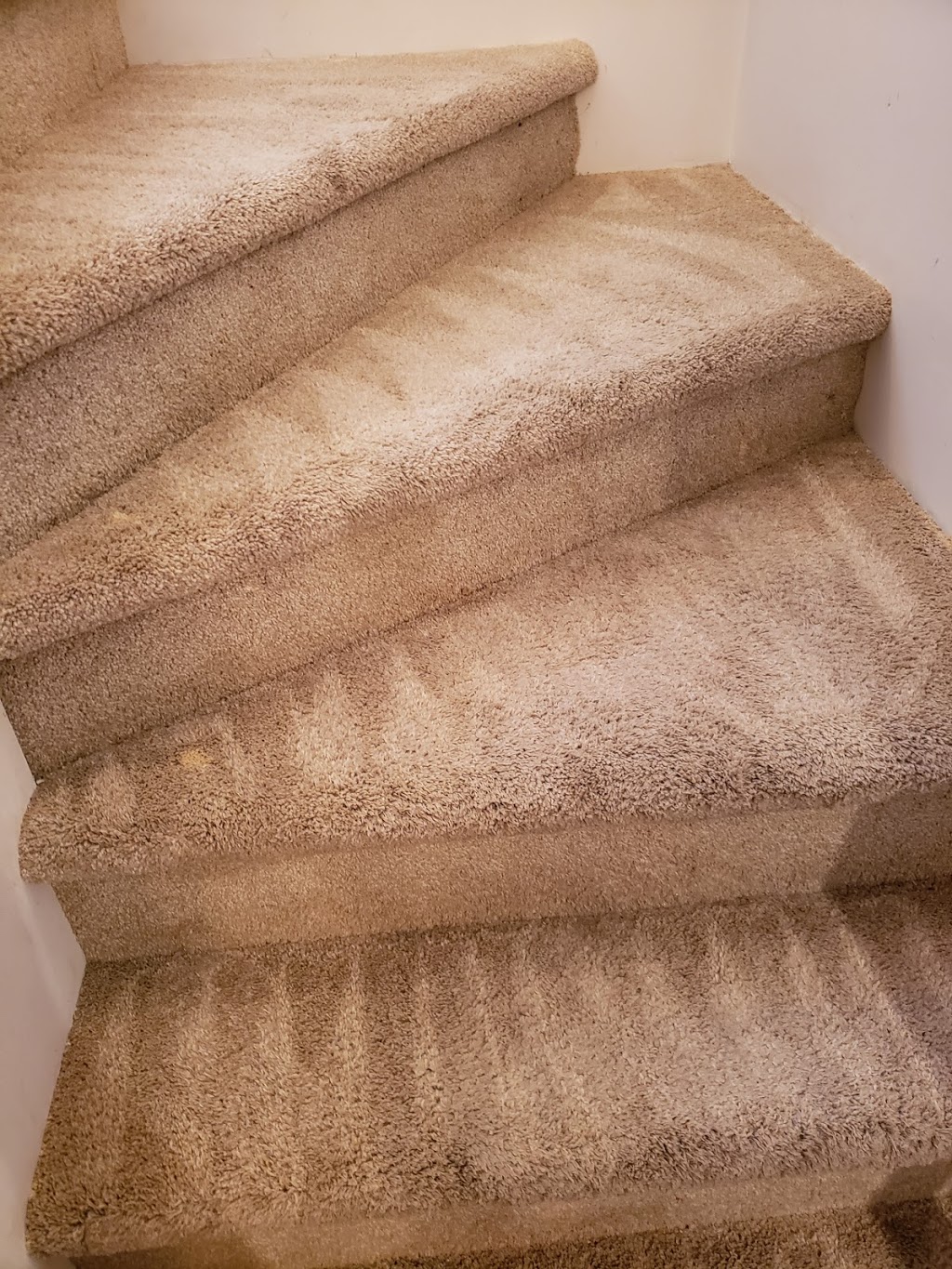 KC Carpet Cleaning Winnipeg | 200 Beliveau Rd, Winnipeg, MB R2M 1T2, Canada | Phone: (204) 995-7992